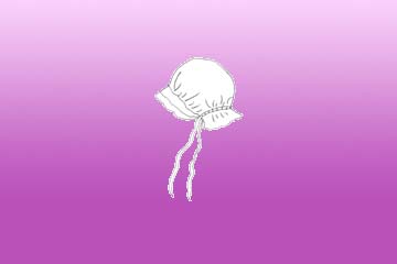 ladies amish style bonnet